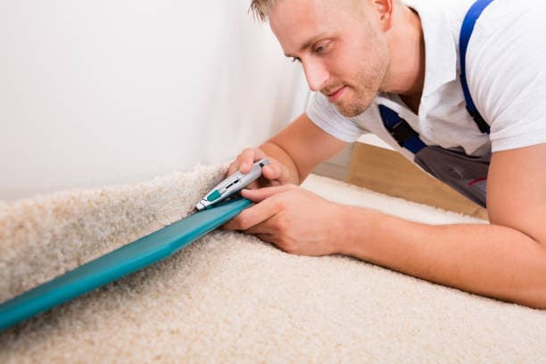 Keep Your Carpet Fresh & Clean Between Professional Services!