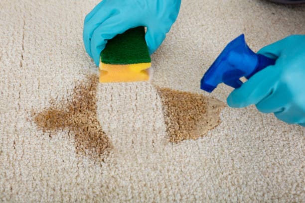 Say Goodbye to Stains – Keep Your Carpets Spotless!